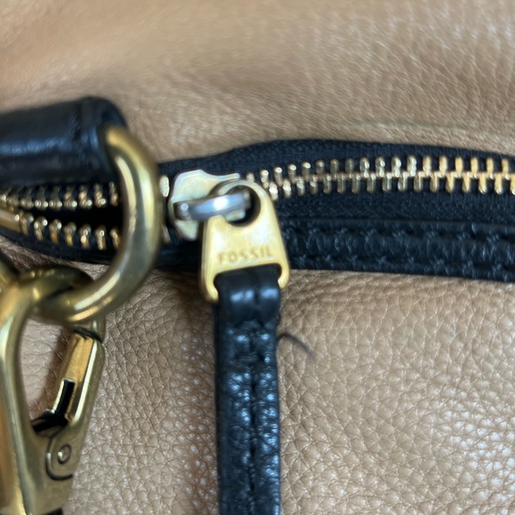 Fossil - Picture 11 of 13